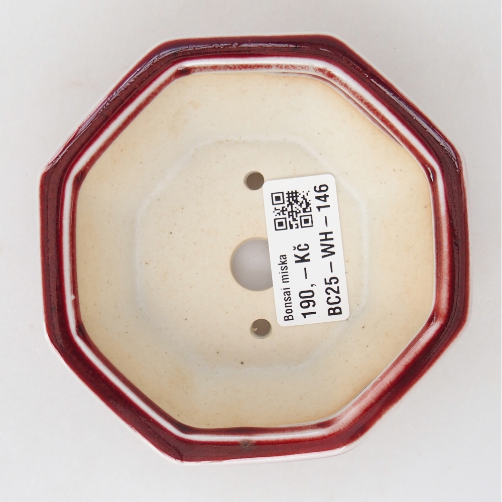 Mini cuenco bonsái 11 x 10 x 3,5 cm, color rojo