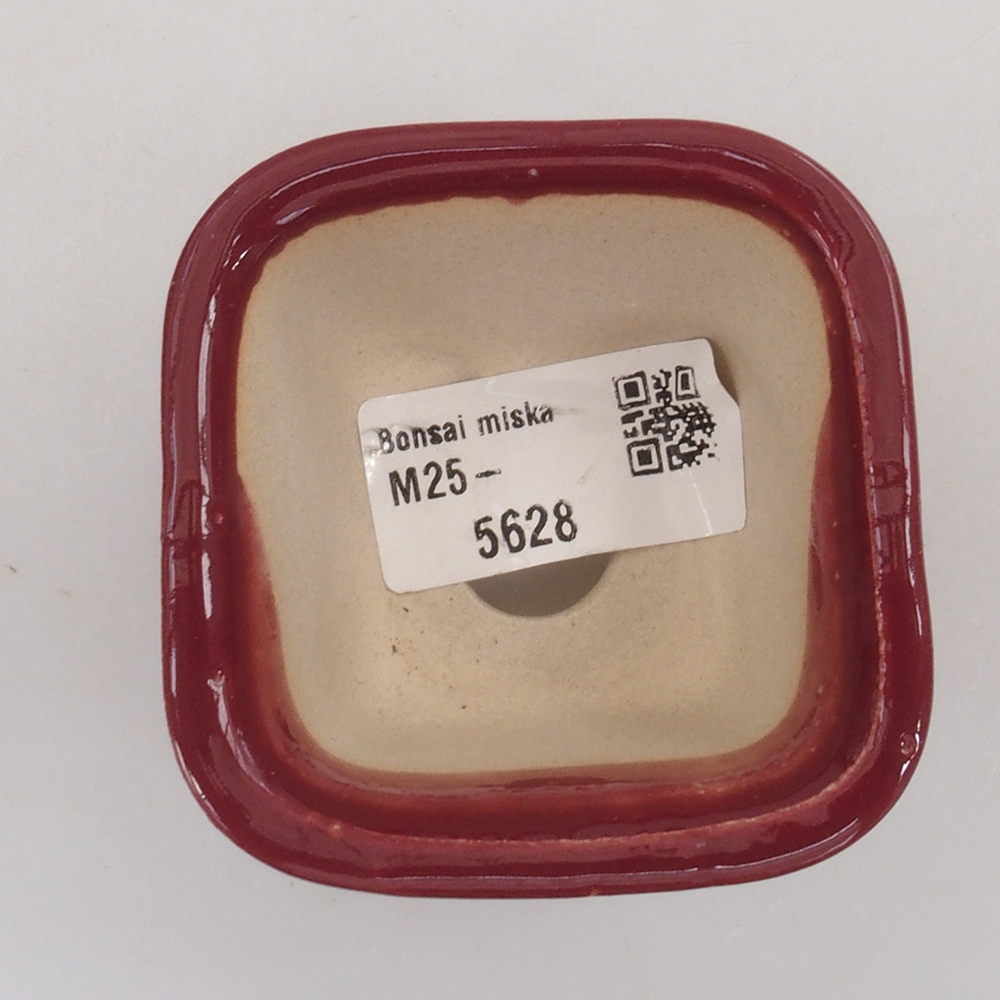 Cuenco mini bonsái 6 x 6 x 4,5 cm, burdeos