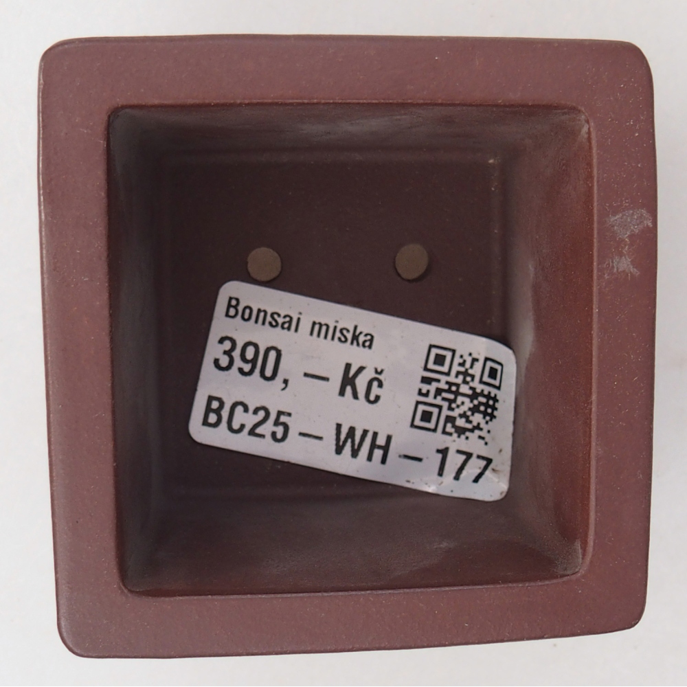 Cuenco mini bonsái 6 x 6 x 4,5 cm, marrón