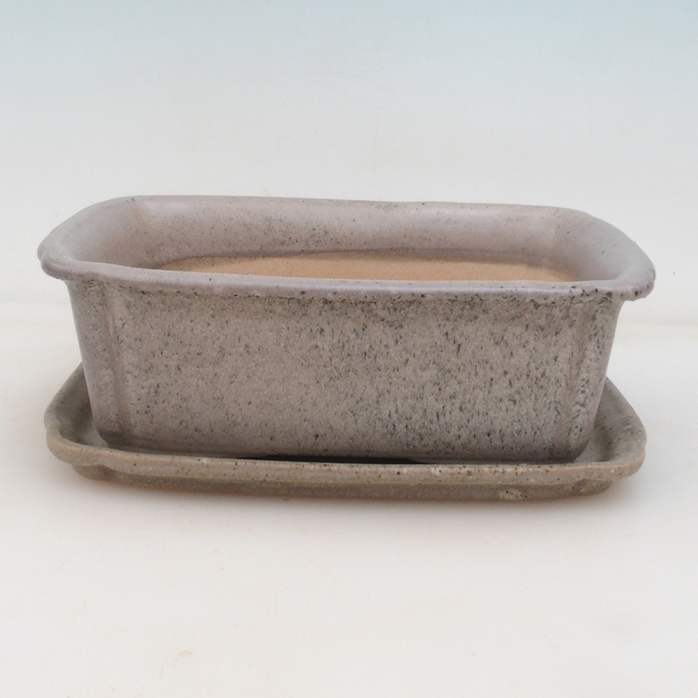 Cuenco bonsái + platillo H50 - 17x12,5x5,5 cm