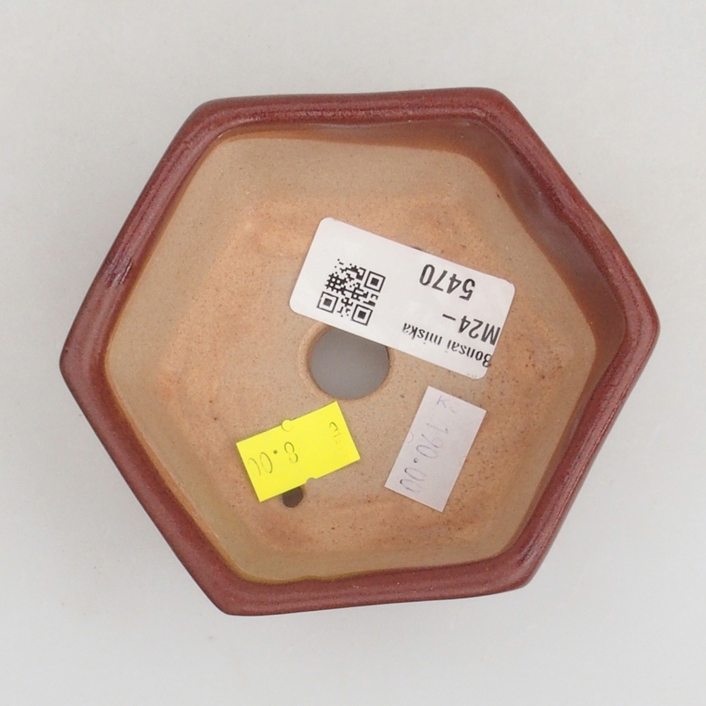 Cuenco bonsái de cerámica 9,5 x 9 x 4,5 cm, marrón