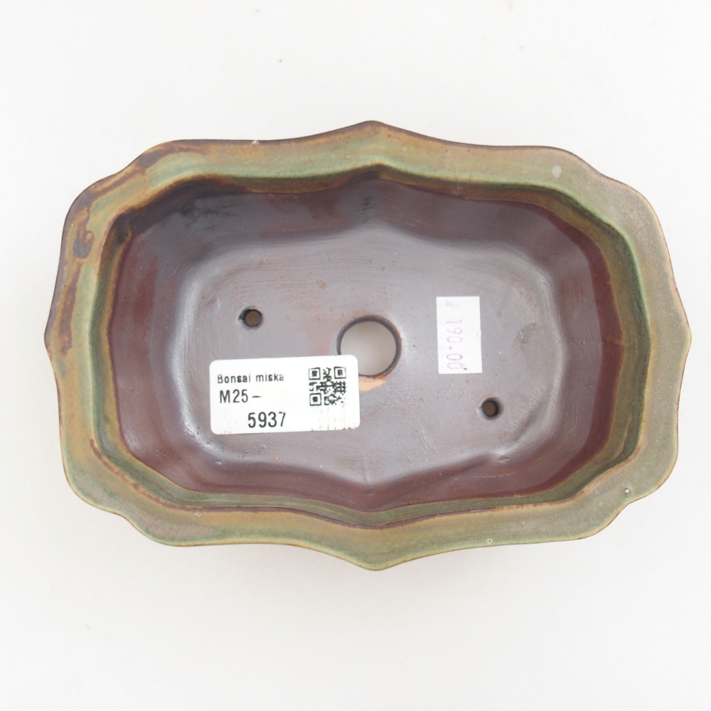 Cuenco bonsái de cerámica 22 x 17 x 5 cm, verde