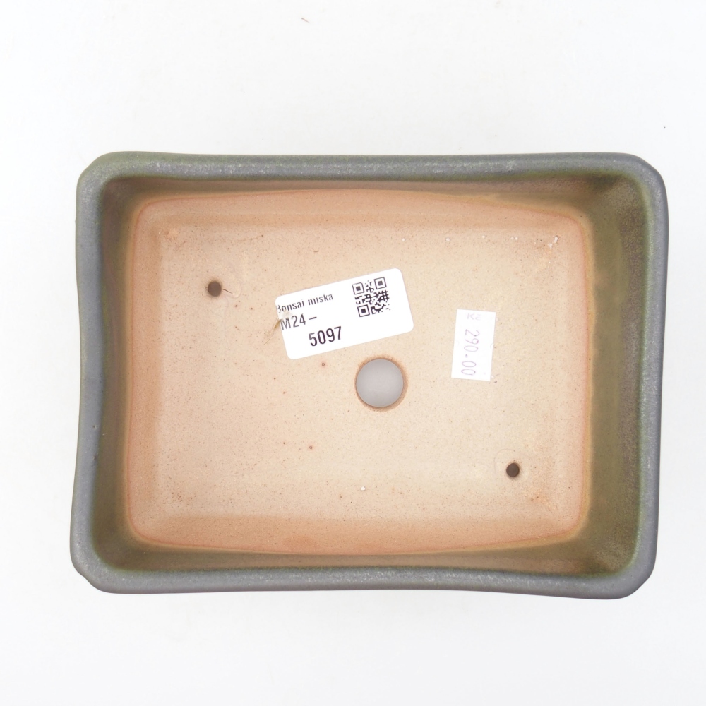 Cuenco bonsái de cerámica 16 x 12 x 6 cm, verde