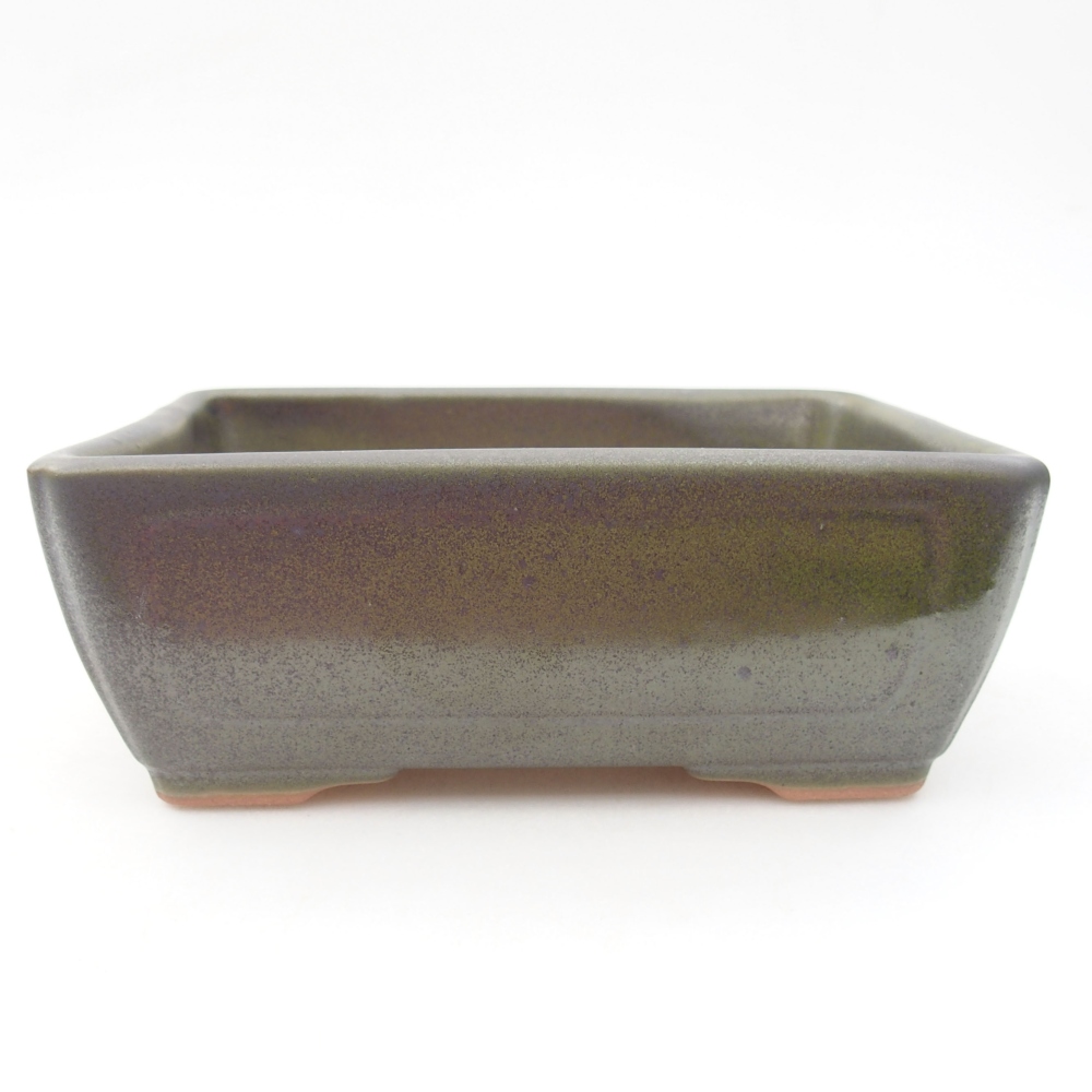 Cuenco bonsái de cerámica 16 x 12 x 6 cm, verde