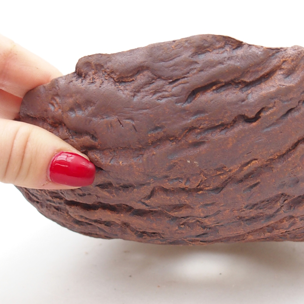 Concha de cerámica 19 x 19 x 6,5 cm , color marrón