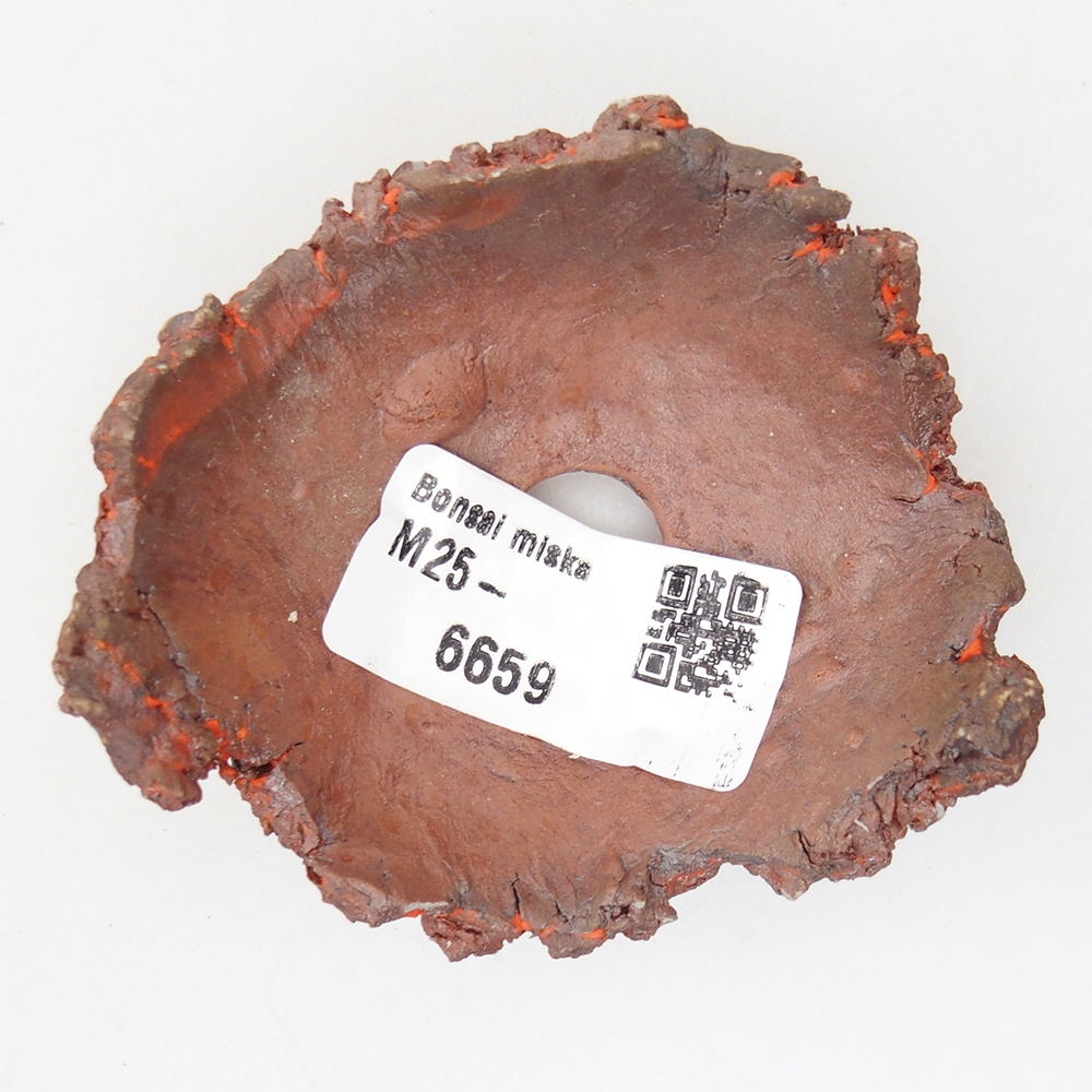 Concha de cerámica 7 x 7 x 3 cm , color naranja