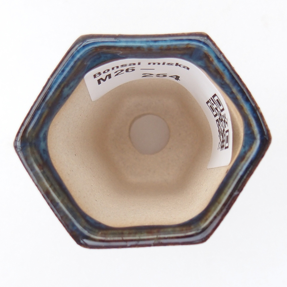 Mini cuenco bonsái 4 x 3,5 x 5,5 cm, color azul