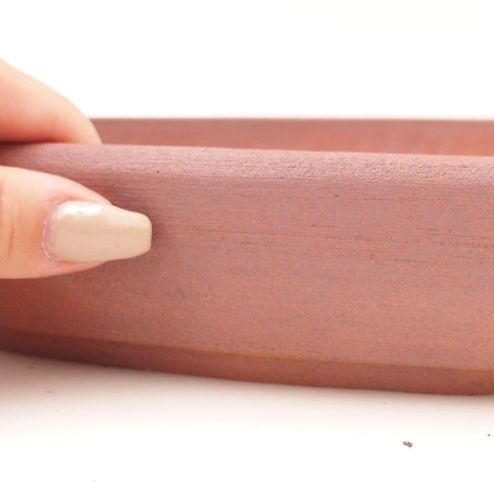 Cuenco bonsai 48,5 x 31 x 4,5 cm , color marrón - SOLO RECOGIDA PERSONAL O TRANSPORTE POR PALET