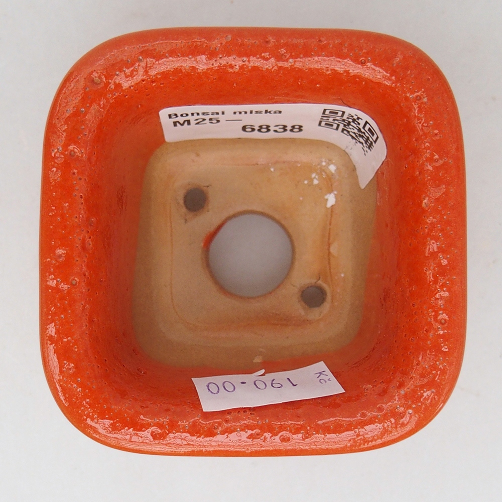 Cuenco bonsái de cerámica 6,5 x 6,5 x 5 cm, naranja