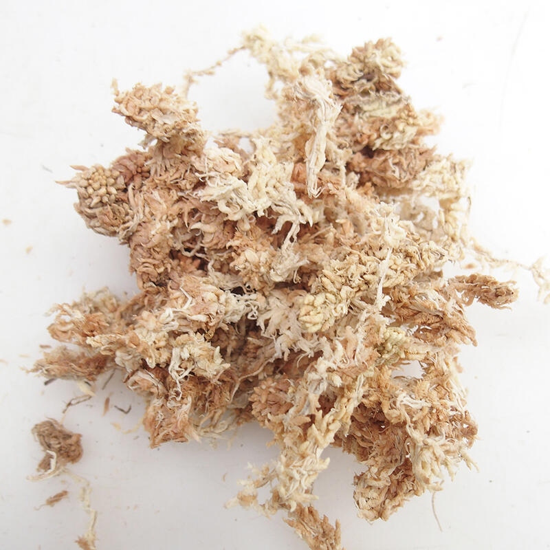 Sphagnum - musgo de turba 1 kg