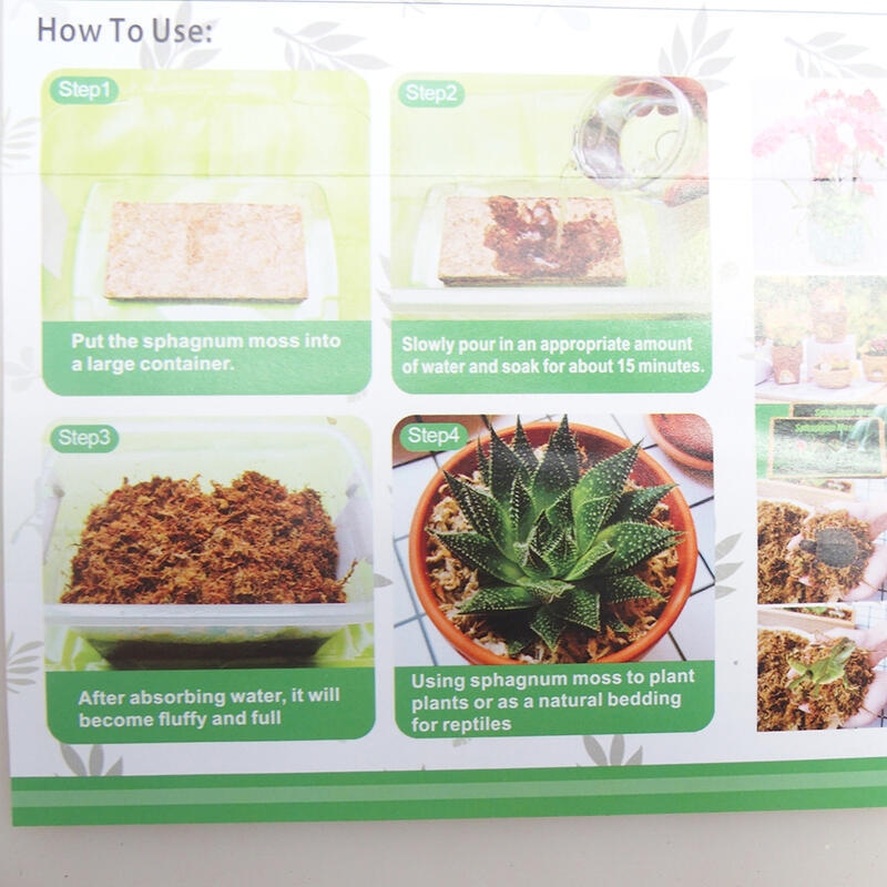 Sphagnum - musgo de turba 250 gr