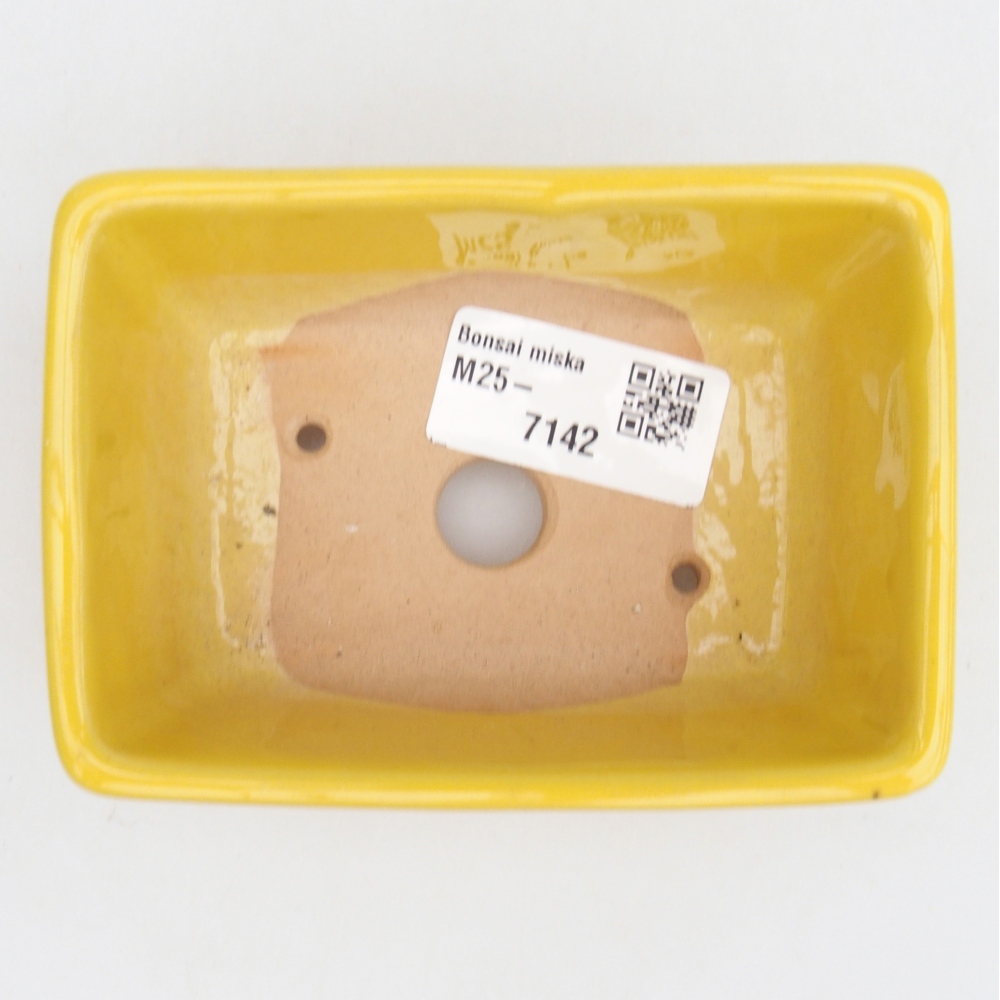 Cuenco bonsái de cerámica 10,5 x 7,5 x 4,5 cm, amarillo