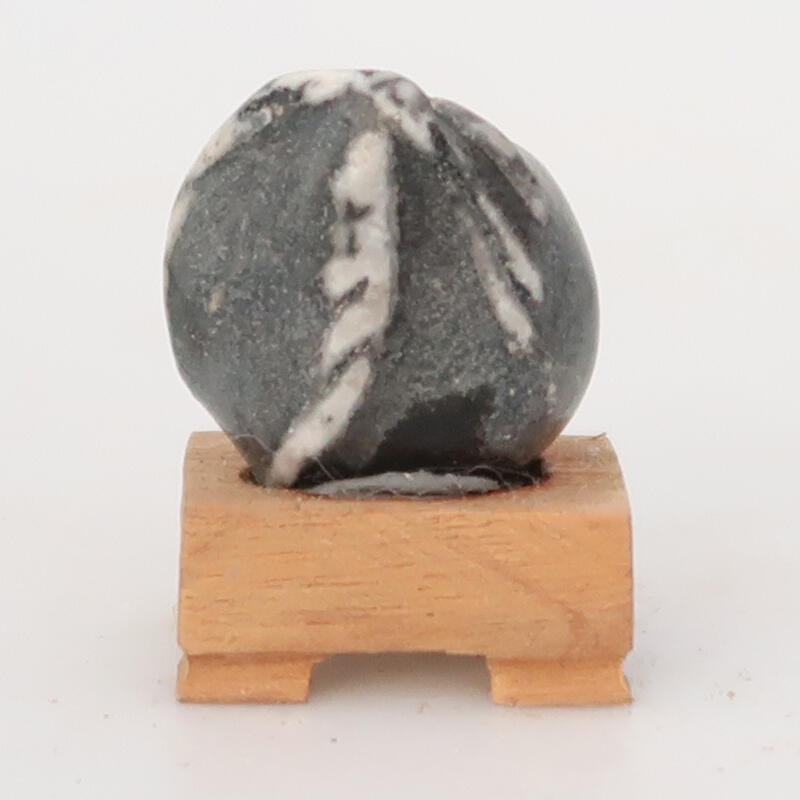 Suiseki - Piedra con DAI (base de madera)