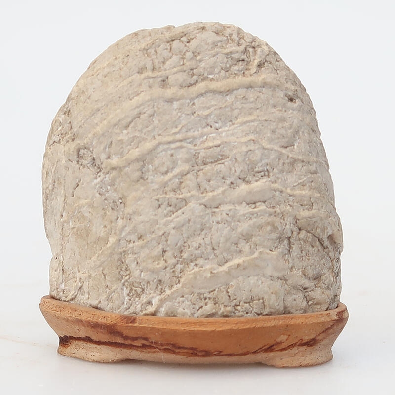 Suiseki - Piedra con DAI (base de madera)