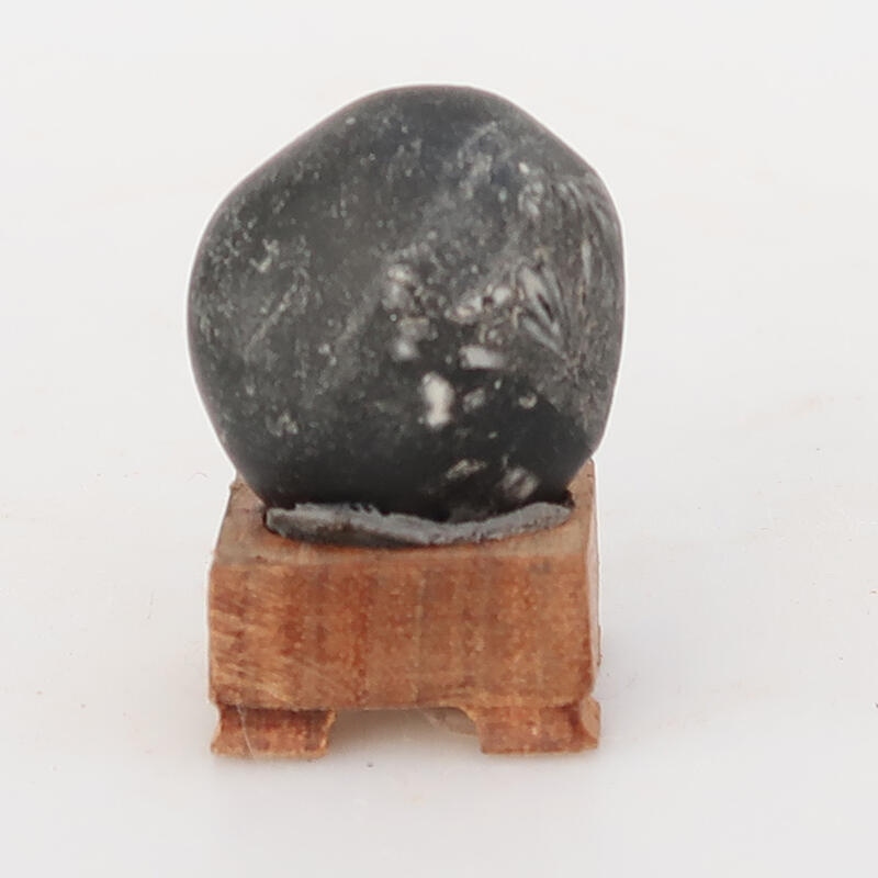 Suiseki - Piedra con DAI (base de madera)