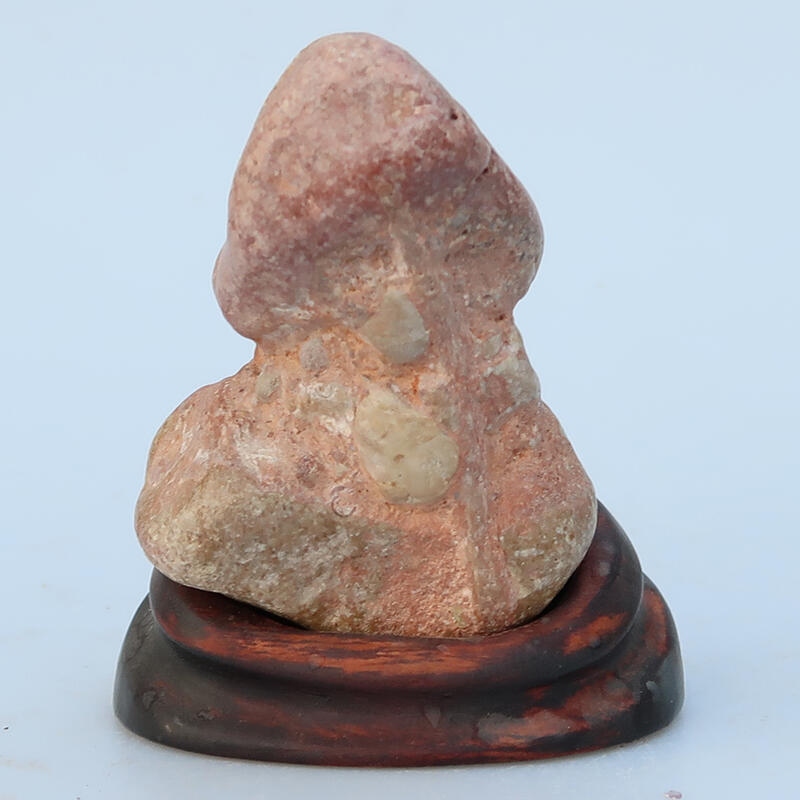 Suiseki - Piedra con DAI (base de madera)