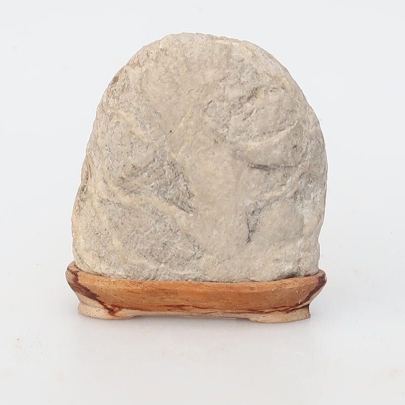 Suiseki - Piedra con DAI (base de madera)