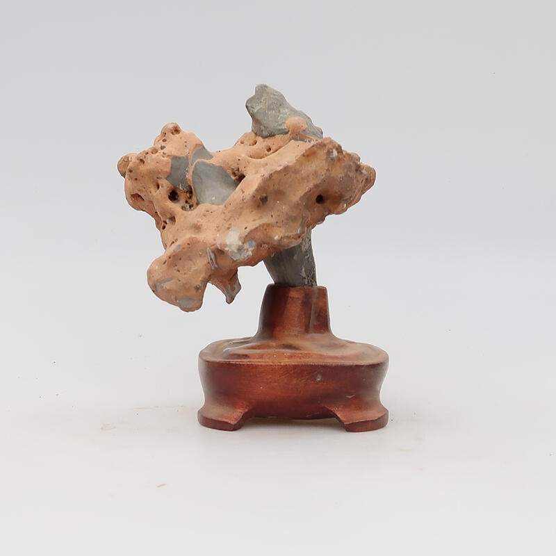 Suiseki - Piedra con DAI (base de madera)