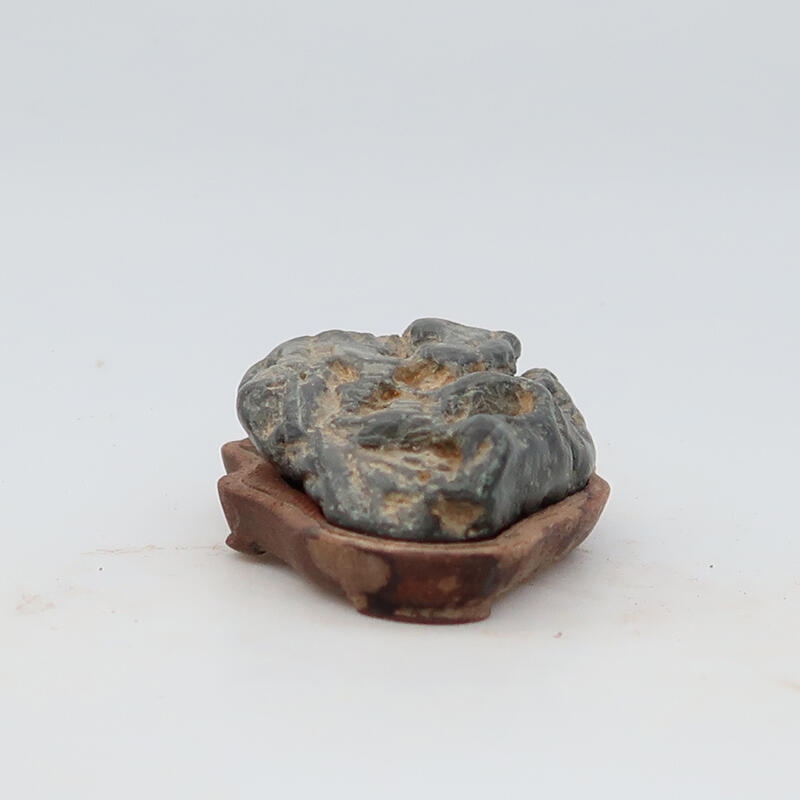 Suiseki - Piedra con DAI (base de madera)