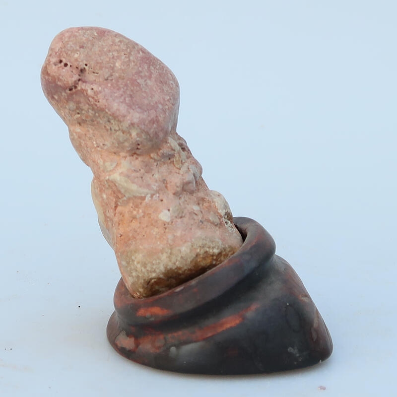 Suiseki - Piedra con DAI (base de madera)