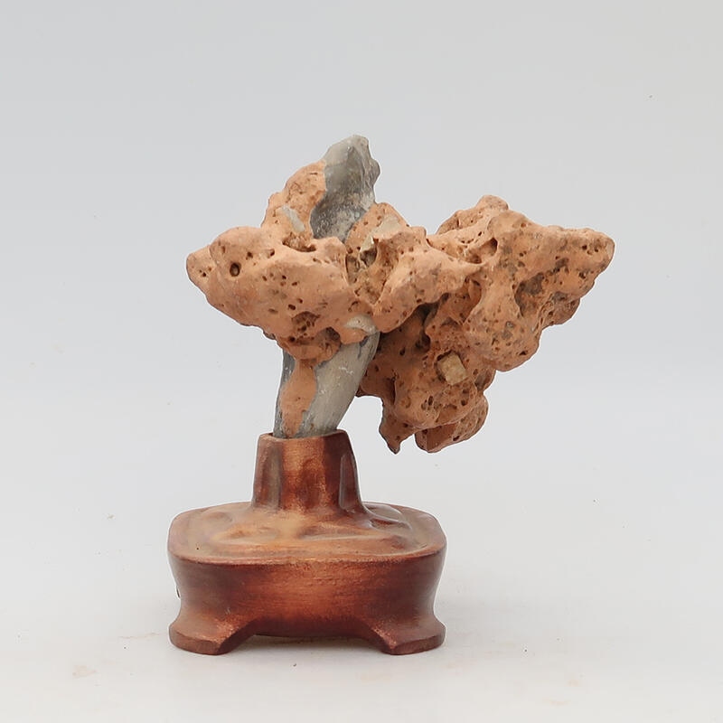 Suiseki - Piedra con DAI (base de madera)