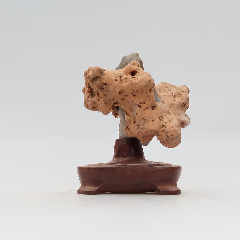 Suiseki - Piedra con DAI (base de madera)