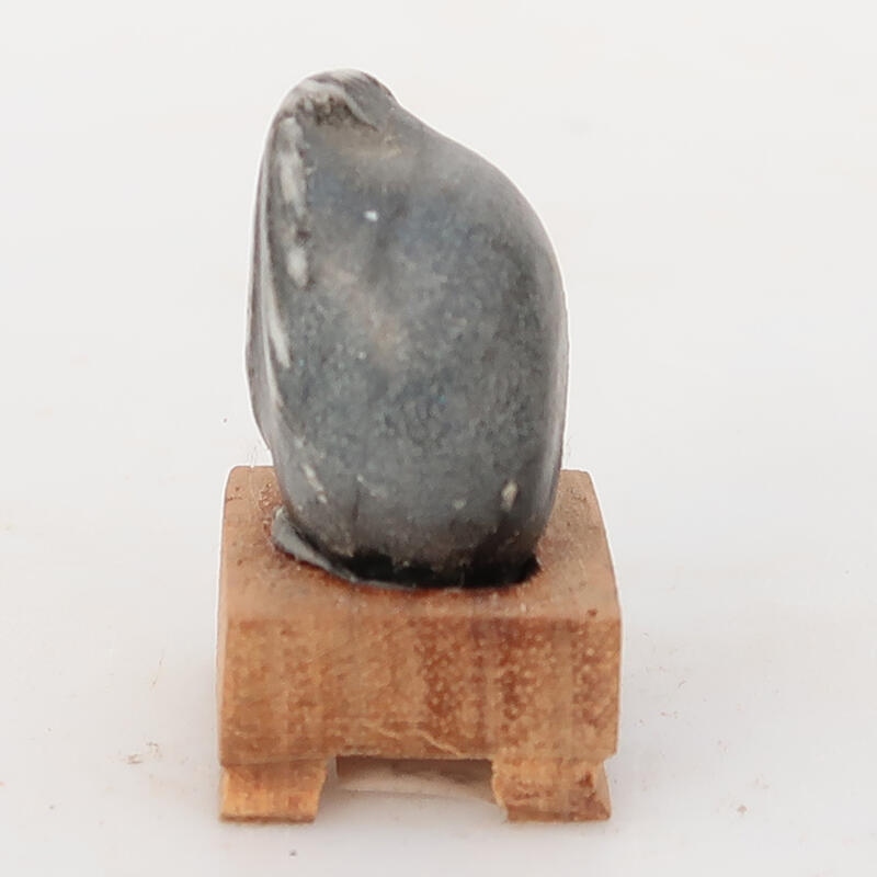 Suiseki - Piedra con DAI (base de madera)
