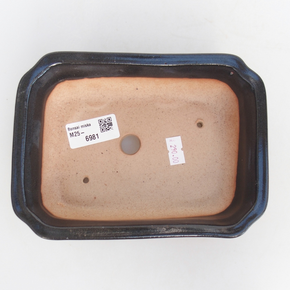 Cuenco bonsái de cerámica 18 x 13,5 x 5 cm, color negro