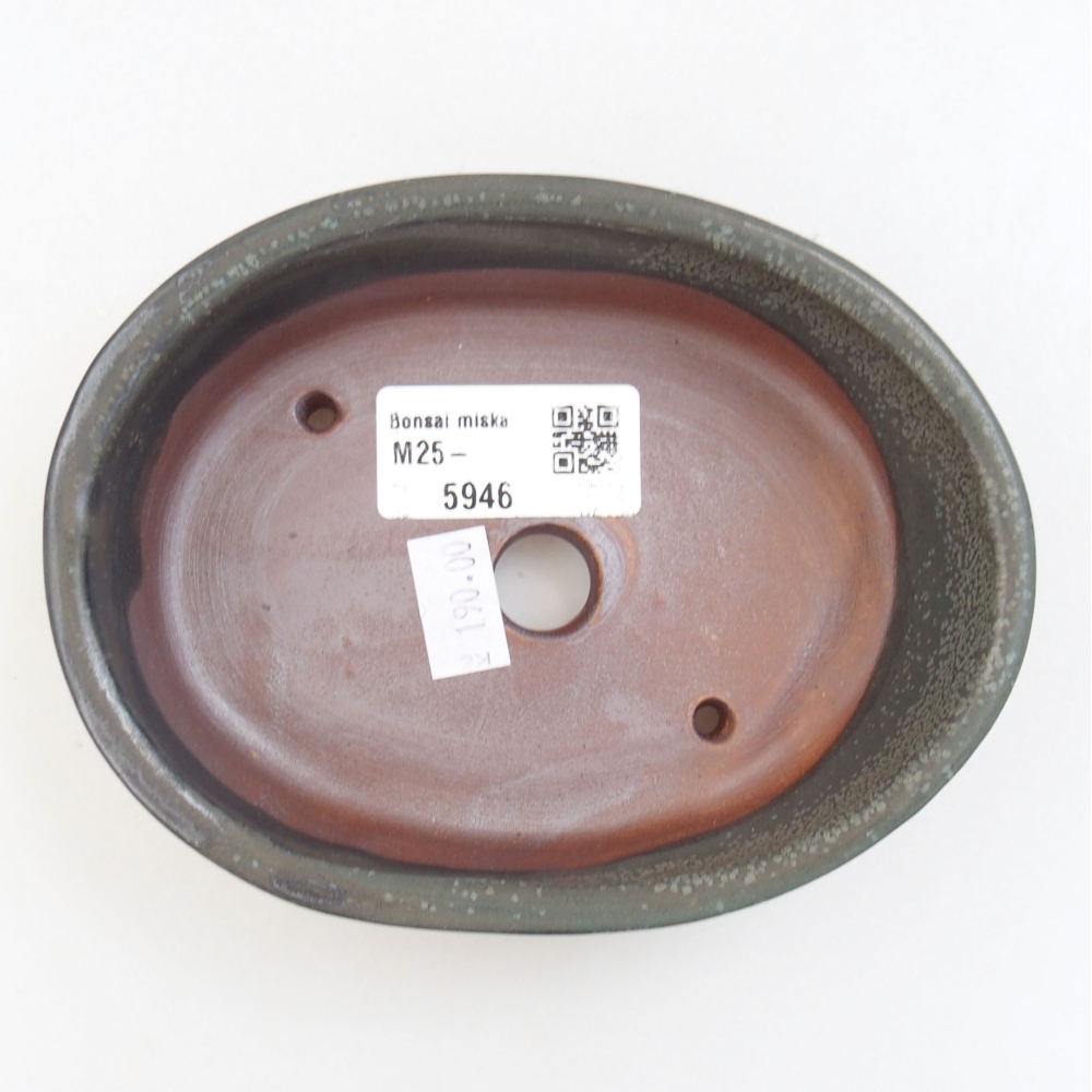 Cuenco bonsái de cerámica 22 x 17 x 5 cm, verde