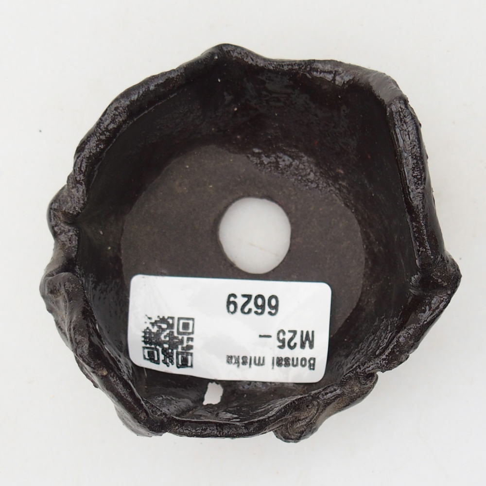 Concha de cerámica 7 x 7 x 5 cm , color negro