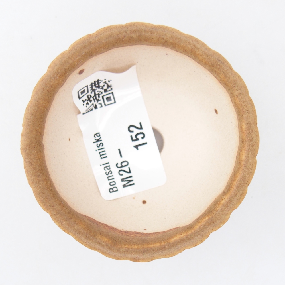 Mini cuenco bonsái 5,5 x 5,5 x 3 cm, marrón