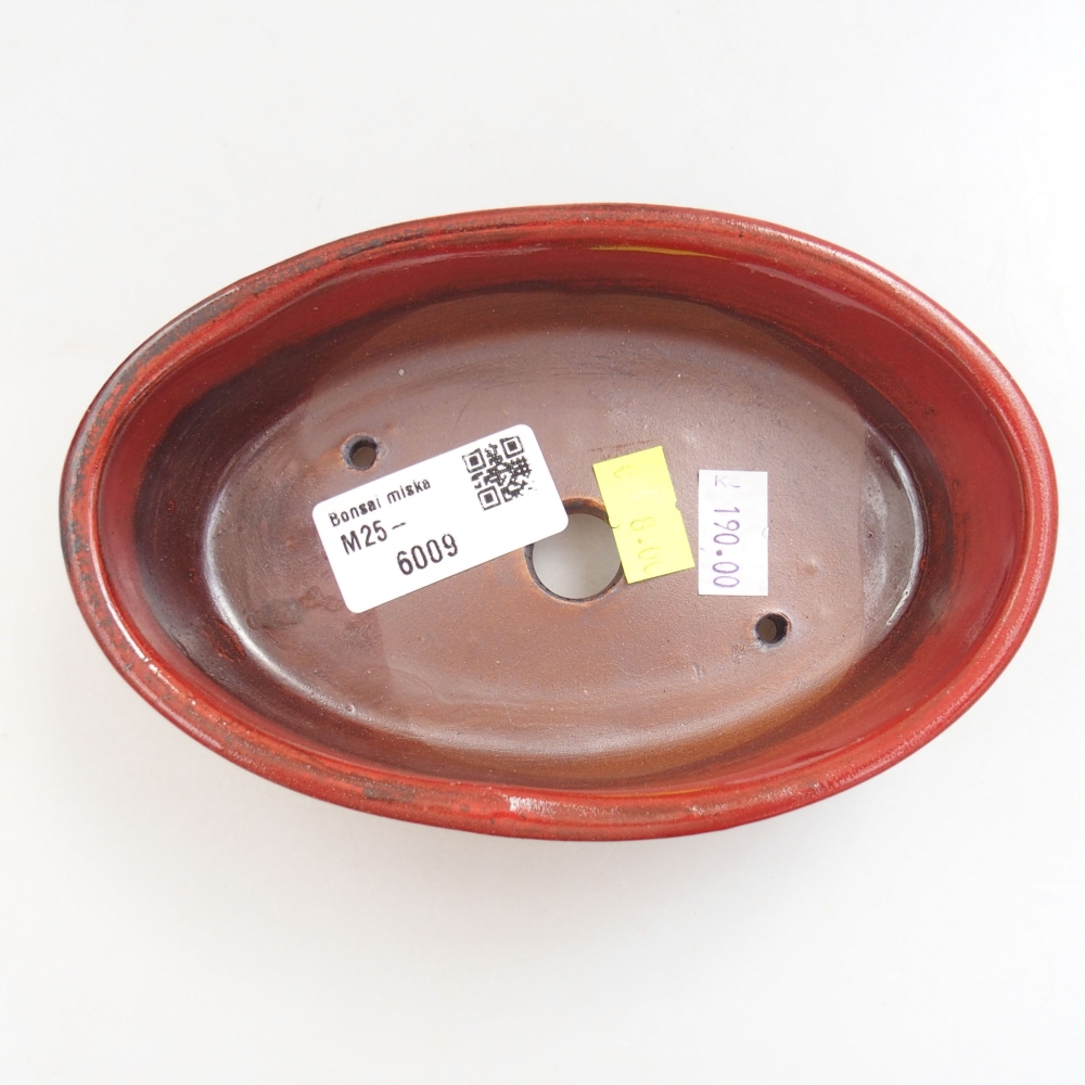 Cuenco bonsái de cerámica 22 x 17 x 5 cm, verde