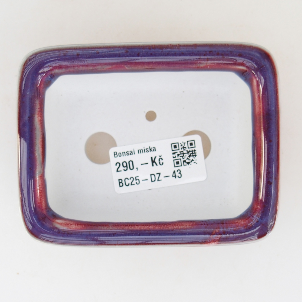 Mini cuenco bonsái 10 x 8 x 3,5 cm, color morado