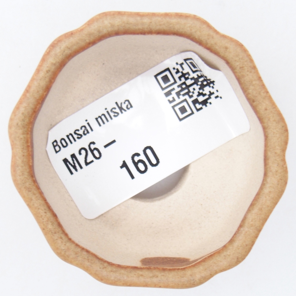 Cuenco mini bonsái 4,5 x 4,5 x 2,5 cm, marrón