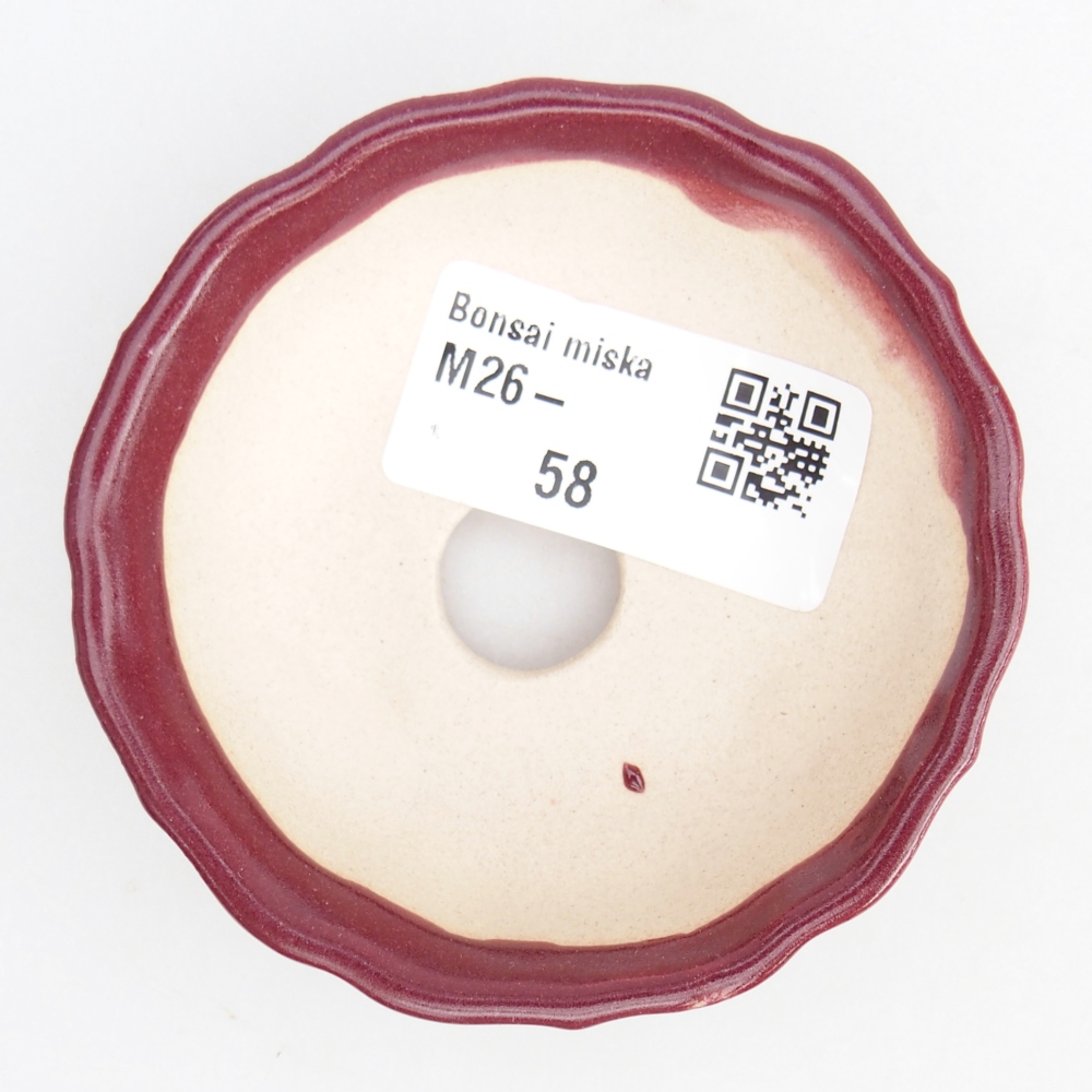 Mini cuenco bonsái 7,5 x 7,5 x 2,5 cm, burdeos