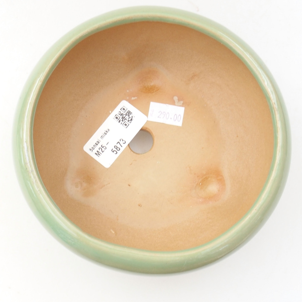 Cuenco bonsái de cerámica 22 x 17 x 5 cm, verde