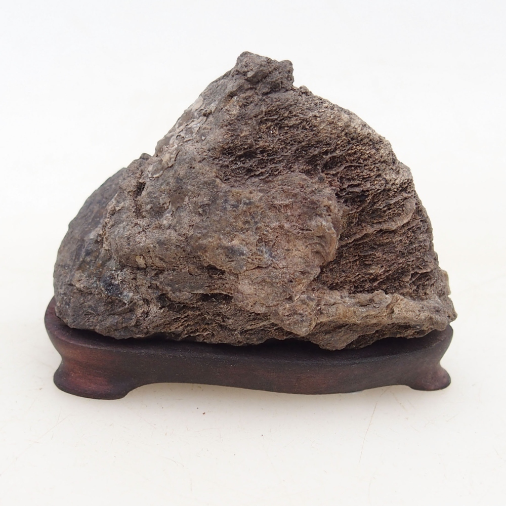 Suiseki - Piedra con DAI (base de madera)