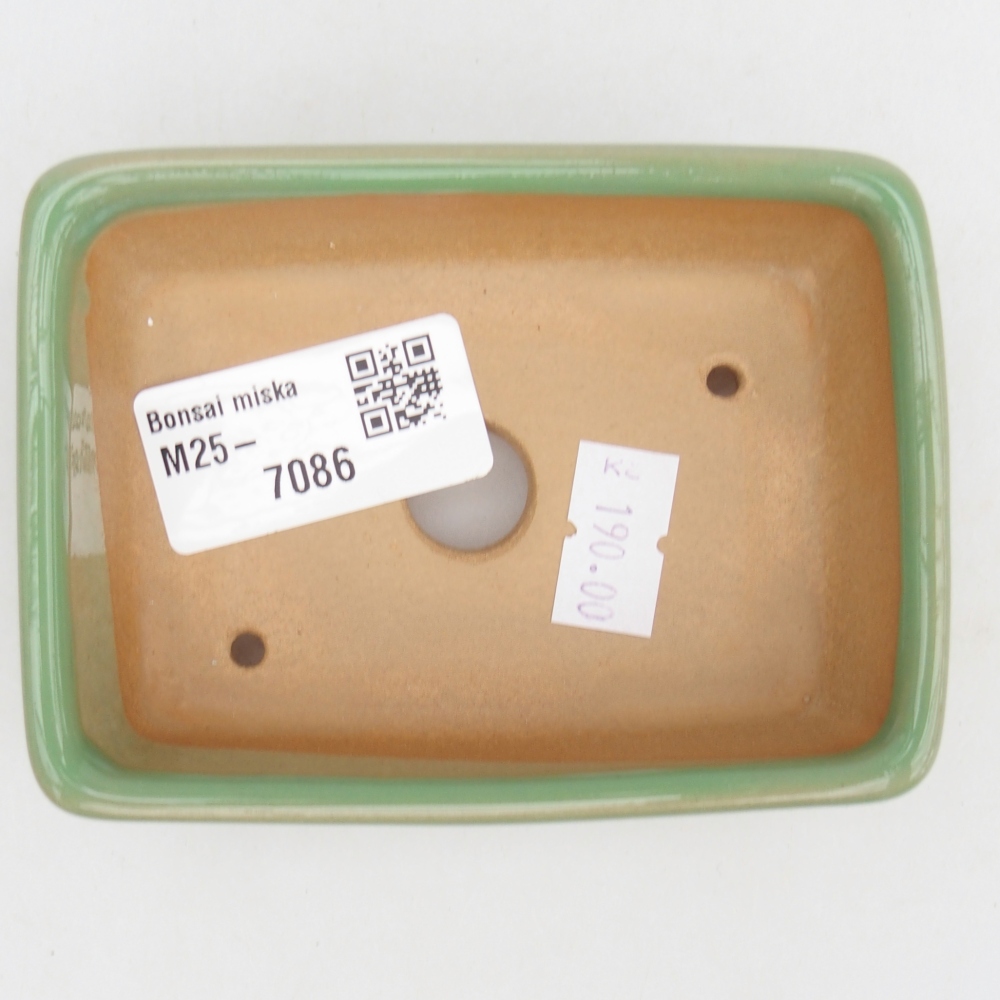 Cuenco bonsái de cerámica 10 x 7 x 3 cm, verde