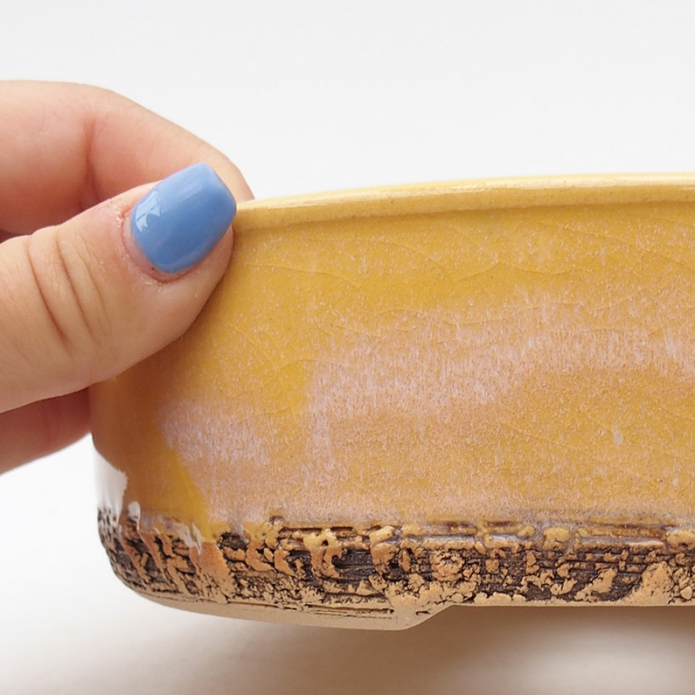 Cuenco bonsái de cerámica 18,5 x 18,5 x 6 cm, amarillo