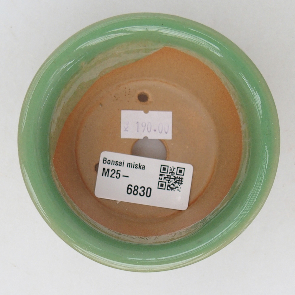 Cuenco bonsái de cerámica 9 x 9 x 5 cm, verde
