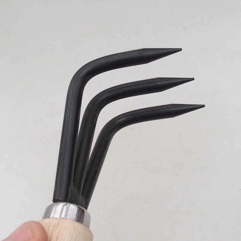 Clasificador de raíces