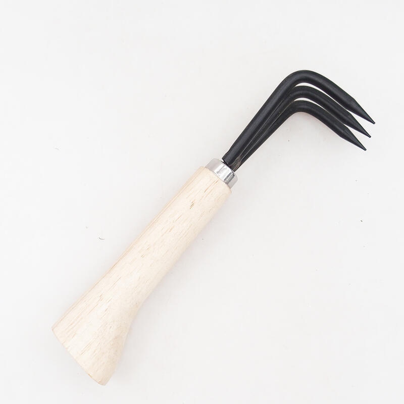 Clasificador de raíces