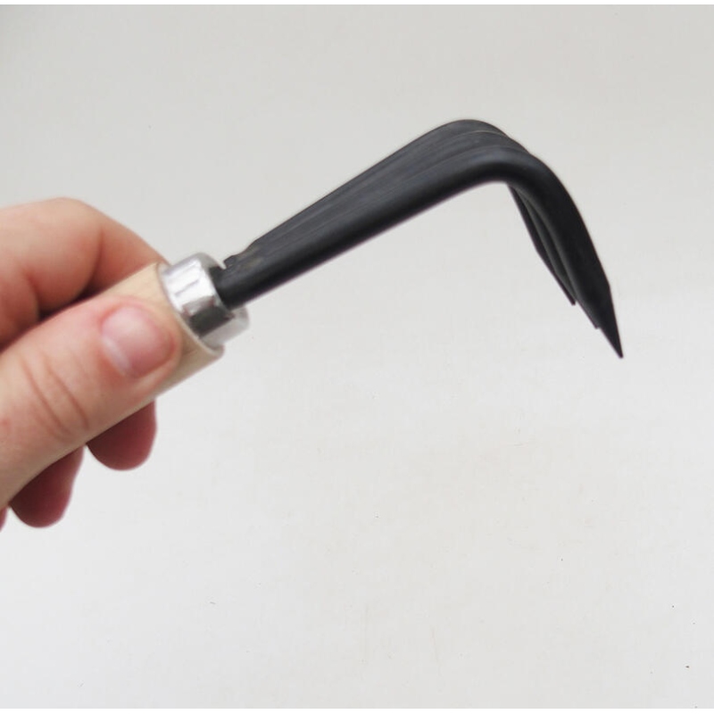 Clasificador de raíces