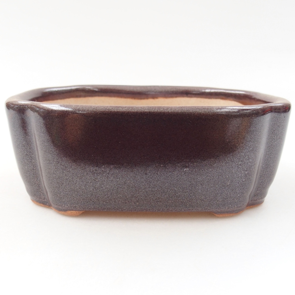 Cuenco bonsái de cerámica 22 x 17 x 5 cm, verde