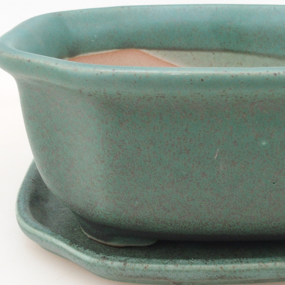 Bonsai cuenco + platillo H32 - verde