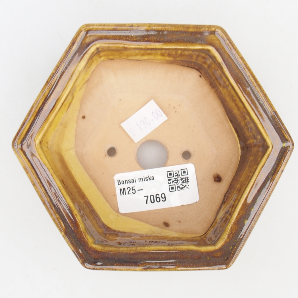 Cuenco bonsái de cerámica 12 x 10,5 x 4,5 cm, amarillo