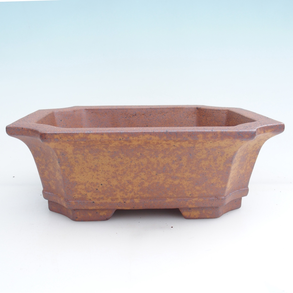 Cuenco bonsái de cerámica 23,5 x 17,5 x 8,5 cm, marrón