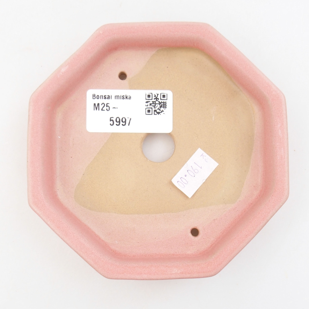 Cuenco bonsái de cerámica 22 x 17 x 5 cm, verde