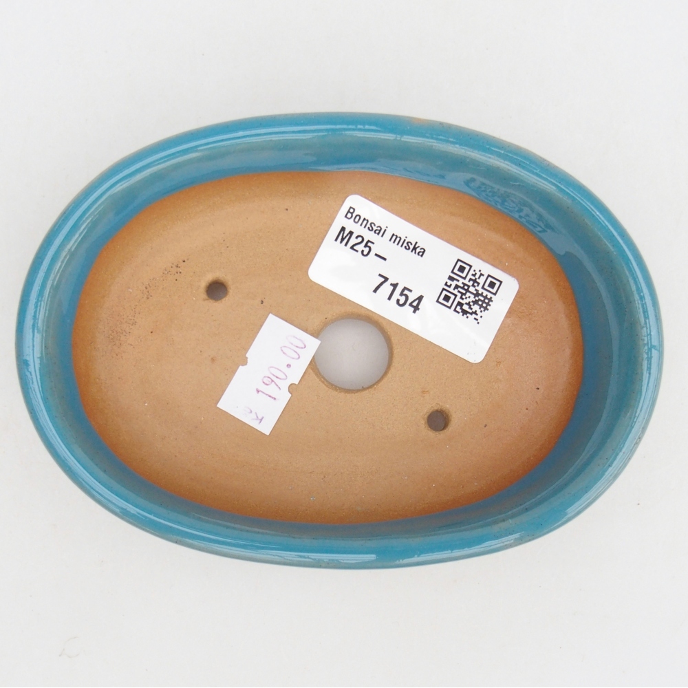 Cuenco bonsái de cerámica 12 x 8,5 x 3 cm, color azul