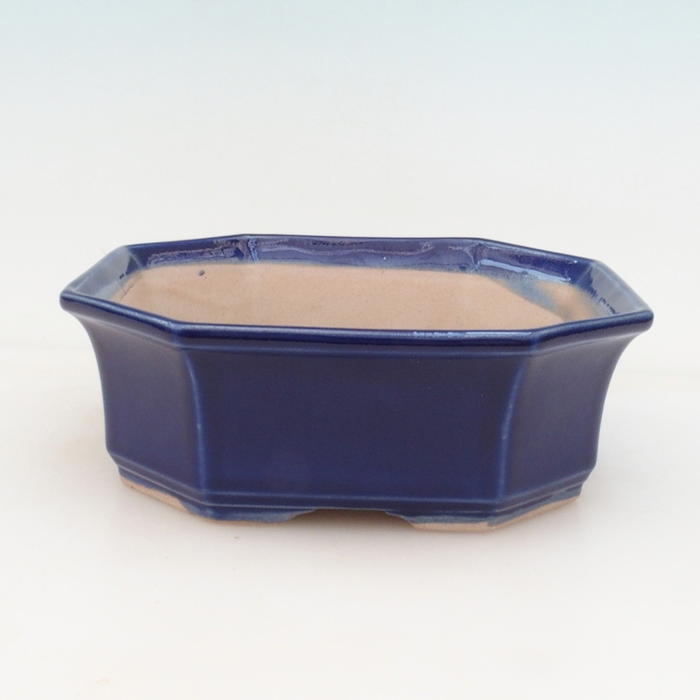 Bonsai cuenco + platillo H14 - azul